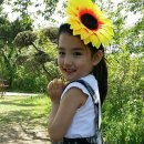 태이 이미지