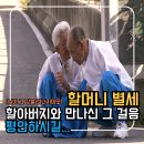 평안길 | 님아그강을건너지마오 줄거리와 후기 할머니별세 평안하시길 ott는