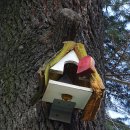 대구 화교협회(大邱 華僑協會) 이미지