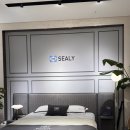 원프레임 | 씰리 매트리스 리브레 K 사이즈 + 원목 프레임 = 300만 원대 구매(feat. 한 달 사용 후기)