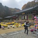 구룡사 - 1336 | 구룡사