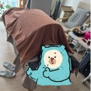 뷰티풀맘케어