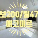에코미르 이미지