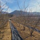 개암농장 이미지