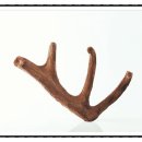 광동약국 이미지