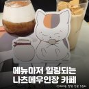 카페링크 | 나츠메우인장 콜라보 카페> 홍대 AK플라자 박스앤카페 총정리: 예약 링크, 굿즈 리스트, 메뉴 후기 등