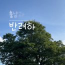 성흥농원 이미지