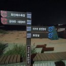 세븐일레븐 포항이동점 네이버블로그