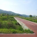 하천(갑천2) 이미지