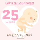 자모목장 | 임신기록 25주~27주(입체초음파,태교여행)