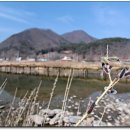 여기,초록 이미지