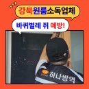 요녀석 강북점 | 강북 원룸 소독업체 바퀴벌레 쥐 예방 고수!