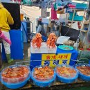 주문진 수산시장 대게 홍게 추천: 주문진 풍물시장 어민수산시장 자연산, 주문진 오일장 주말 방문 후기