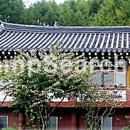 덕유산휴양수련원 Daum카페