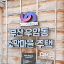 백년지물 | 부산 우암동 소막마을 주택 : 남파랑길 미션투어, 야외 방탈출게임 # 골목 속 마을 대탐험