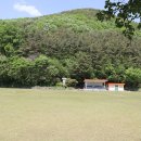 봉황대운동장 이미지