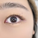 일레르 뷰티 | 일레르 뷰티 무쌍 속눈썹 연장 브라운 cc컬 후기 (8년 짬바는 확실히 다르다)