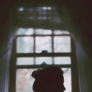 희미한옛사랑의그림자 이미지