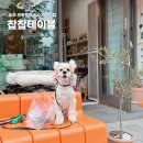 찹찹 펫푸드 | 인천 송도 강아지 간식 추천 | 센트럴파크 아트포레 반려동물 수제간식집 찹찹테이블 방문후기