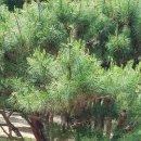 물향기공원 이미지