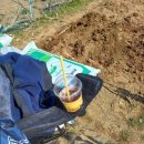 삼송농장 이미지