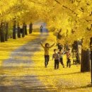 거창목장 이미지