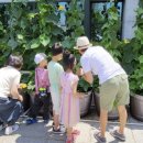 수정환경 이미지