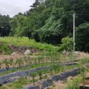 심지농장 이미지