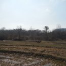 광산구-138 이미지