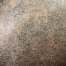 키키브라더스 노원점 이미지