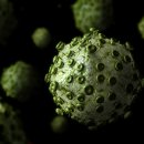 바이러스 이미지