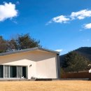 스테이위드독 이미지