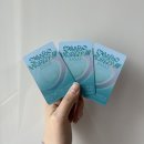 러브 오브 마이라이프 | 2025년 샤이니 콘서트 SHINee WORLD VII [E.S.S.A.Y] 후기