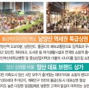 애비뉴23