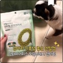 모아덴탈 | 강아지 기호성 좋은 덴탈껌 비린내 나는 입냄새 고민끝 닥터이너피스 오랄프레시 텐타링