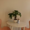 어바웃 댕댕 이미지