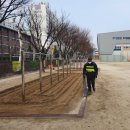 성천초교병설 이미지