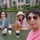 동그리 정모 이미지