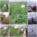 농사꾼농장 이미지