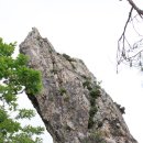 산북1리 Daum카페