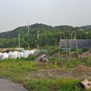 땅나라공인중개사사무소 이미지