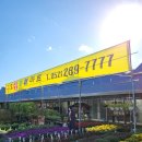 하나로 플라워 수족관 이미지