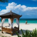 파라다이스 이미지