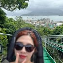 성안카정비 | 나트랑 빈원더스 알파인코스터 동물원 후기