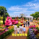 화순 하니움문화스포츠센터 문화광장 | 화순 봄꽃 축제 기본 정보, 초대가수 라인업부터 무료 주차 셔틀 팁까지 총정리