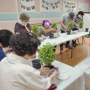 원예생활지도사 이미지