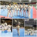 센텀TIA 태권도 이미지