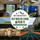 모나오션 | 횡성 웰리힐리파크 패밀리룸 온돌형 | 부대시설 패키지 이용 후기