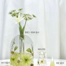 [신문사 인터뷰 후기] 리부케 공방 &#39;체리쉬유어메모리&#39;, 소중한 순간을 간직하는 방법💐