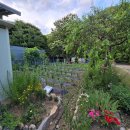 하얀여울 이미지